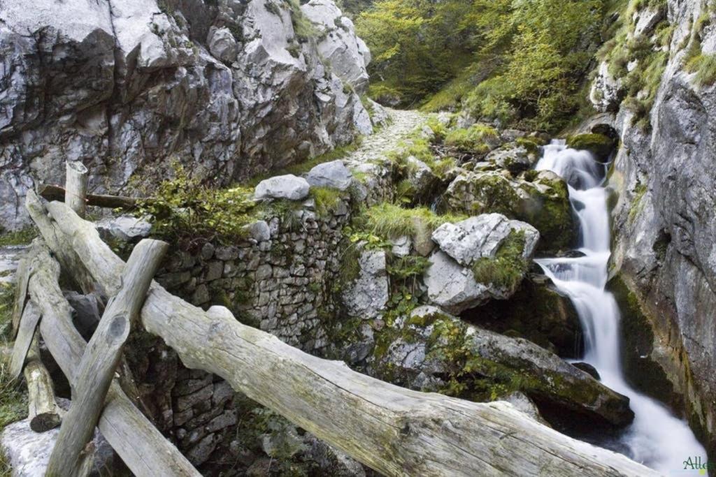 Los Molinos - Atico En Montana De Asturias Felechosa Exteriér fotografie