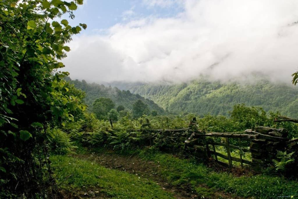 Los Molinos - Atico En Montana De Asturias Felechosa Exteriér fotografie