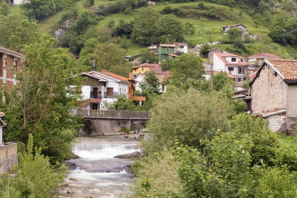 Los Molinos - Atico En Montana De Asturias Felechosa Exteriér fotografie