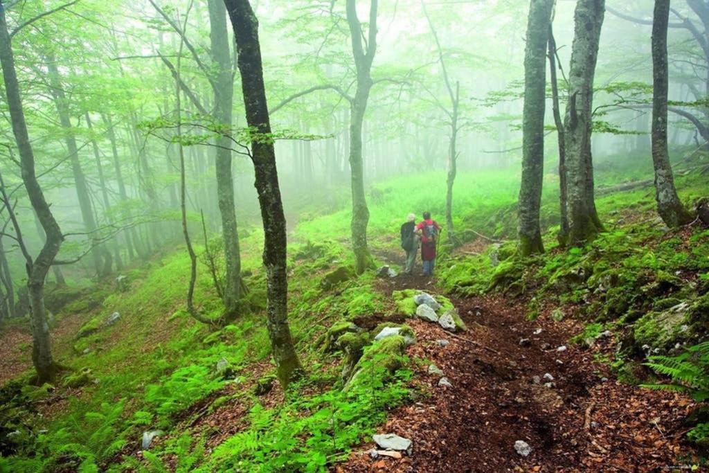 Los Molinos - Atico En Montana De Asturias Felechosa Exteriér fotografie