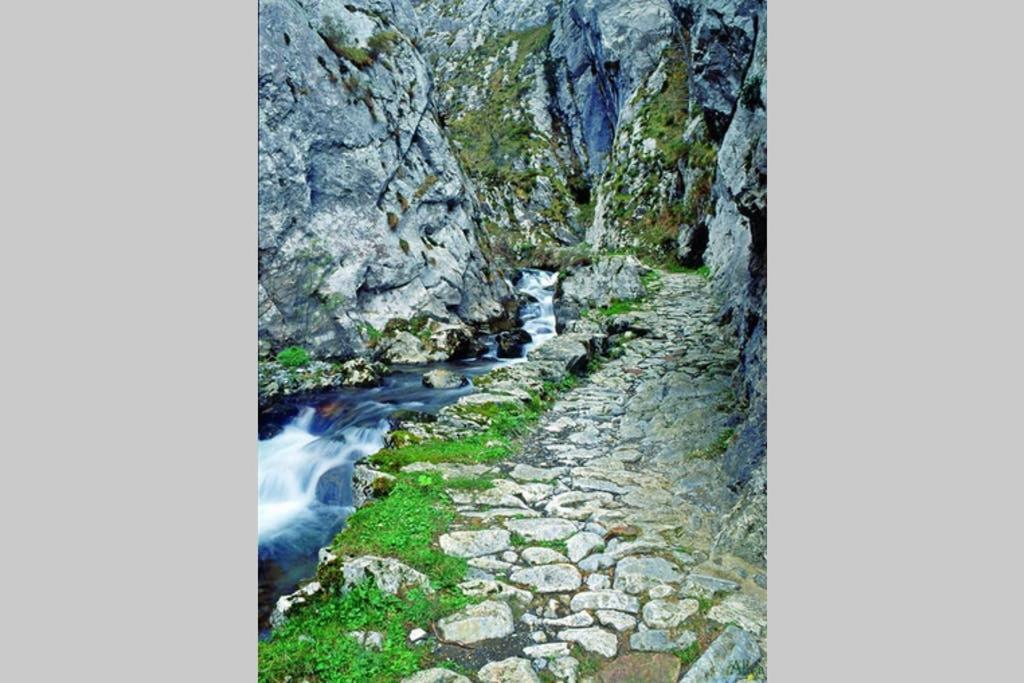 Los Molinos - Atico En Montana De Asturias Felechosa Exteriér fotografie