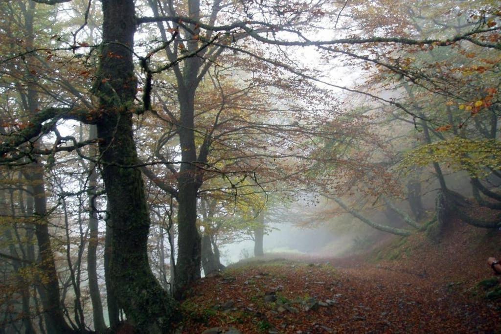 Los Molinos - Atico En Montana De Asturias Felechosa Exteriér fotografie