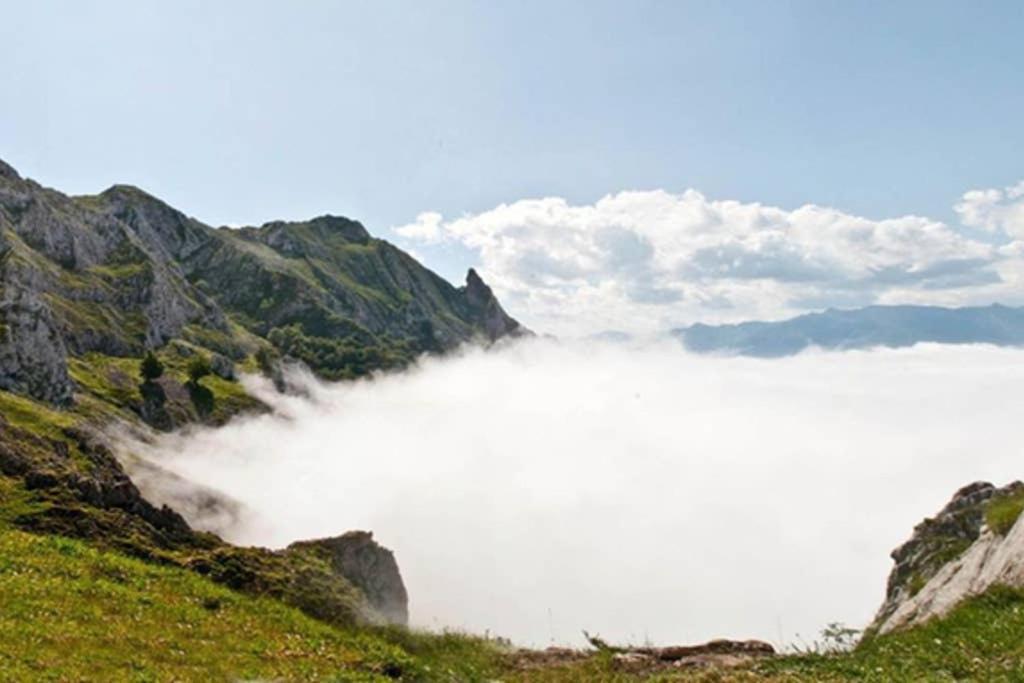 Los Molinos - Atico En Montana De Asturias Felechosa Exteriér fotografie
