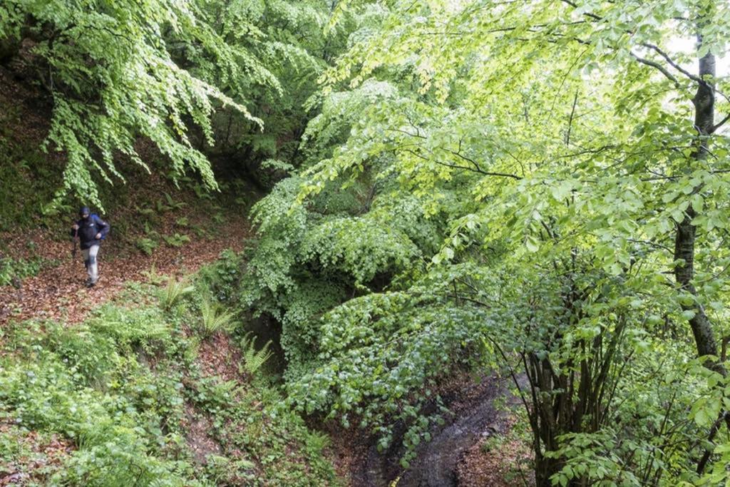 Los Molinos - Atico En Montana De Asturias Felechosa Exteriér fotografie